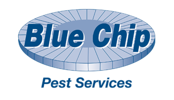 Blue chip pest services logo - Bug Out Pest Control and Extermination in St. Louis MO