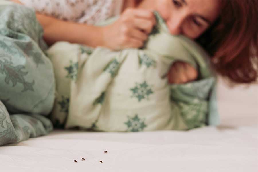 Woman seeing bed bugs on mattress - Keep bed bugs out of your home with Bug Out in St. Louis