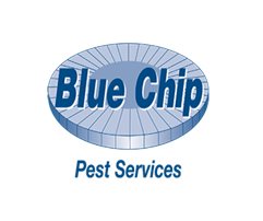 blue-chip-logo