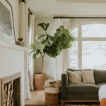 Freshly cleaned living room space interior of a Missouri home, still vulnerable to pests.