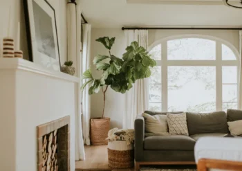 Freshly cleaned living room space interior of a Missouri home, still vulnerable to pests.