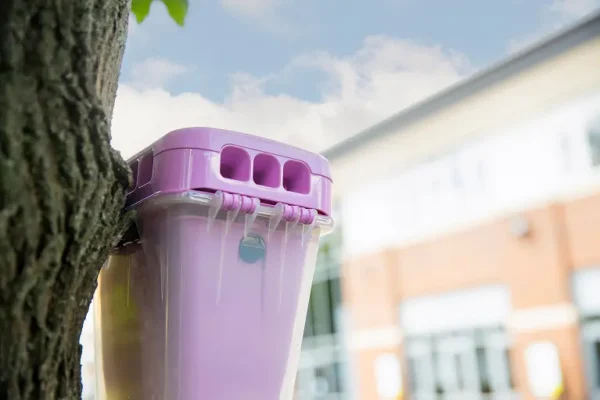 A closeup of an EcoCatch Flies box hanging from a Missouri tree. Call today to get a fly control quote before pests threaten your health score or customer experience.