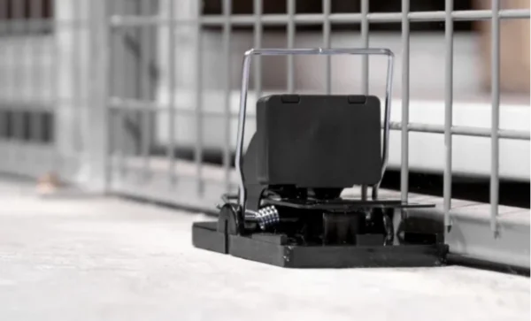 A PestConnect snap trap placed inside of a warehouse in St. Louis MO