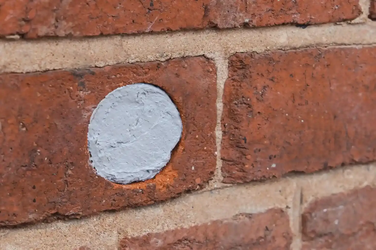patch in a brick wall to keep pests out of your home.